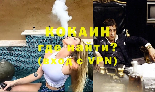 сатива Арсеньев