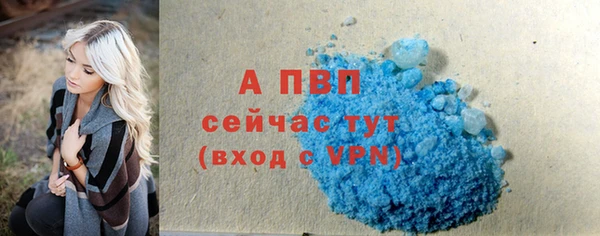 сатива Арсеньев