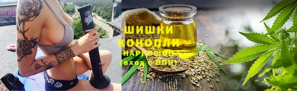 сатива Арсеньев