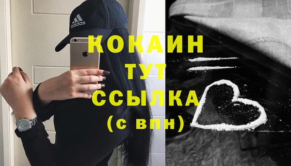 сатива Арсеньев